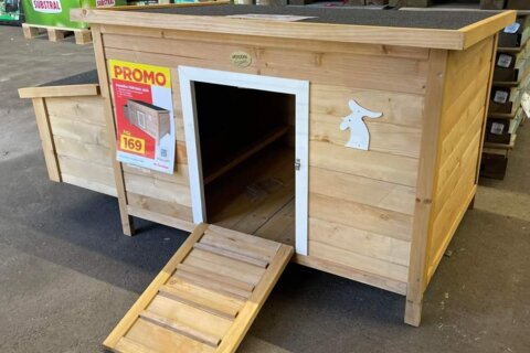 Créez votre propre ferme : Adoptez notre poulailler et transformez votre jardin en paradis pour vos poules!